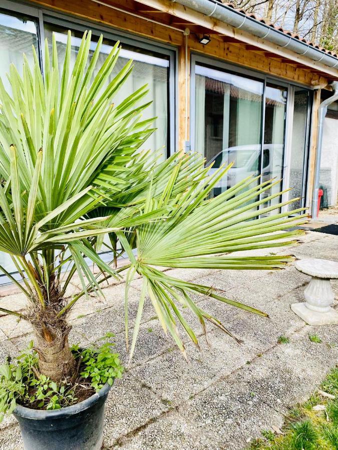 La Villa Jo Le Grand-Lemps Eksteriør bilde